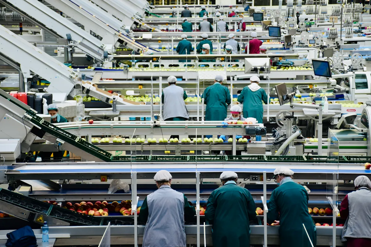 Automated production and packaging line in a manufacturing facility